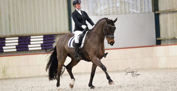 Foto’s dressuurwedstrijd 6 december